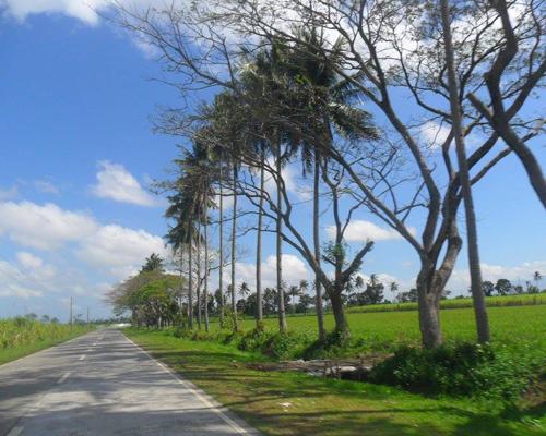 bacolod, travel, things to do, weather